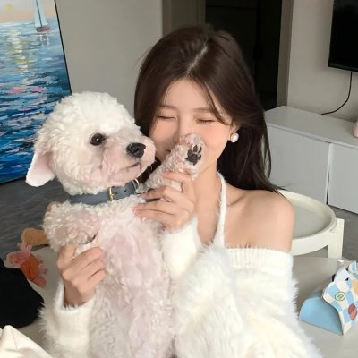 龟兔大作战